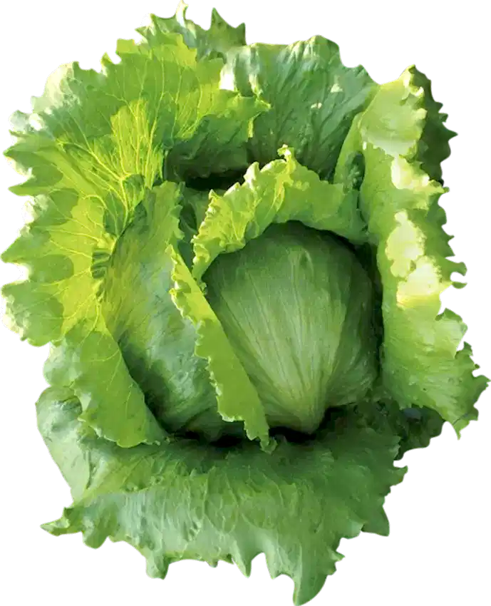 Bombola