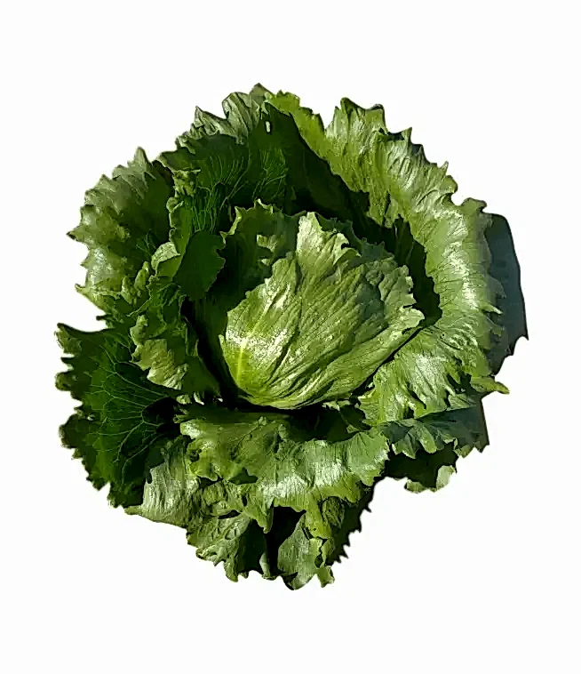 Troquel