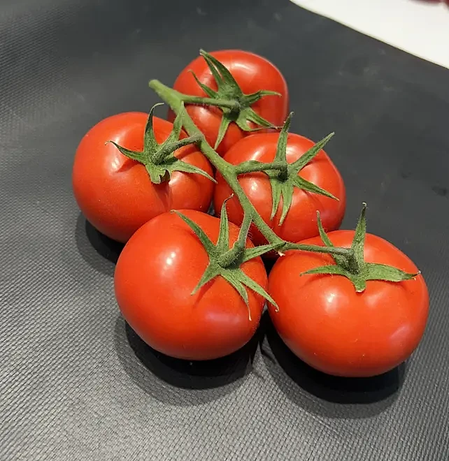 Runtıno F1