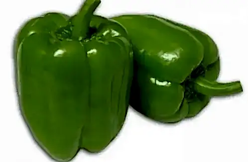 Gözde F1