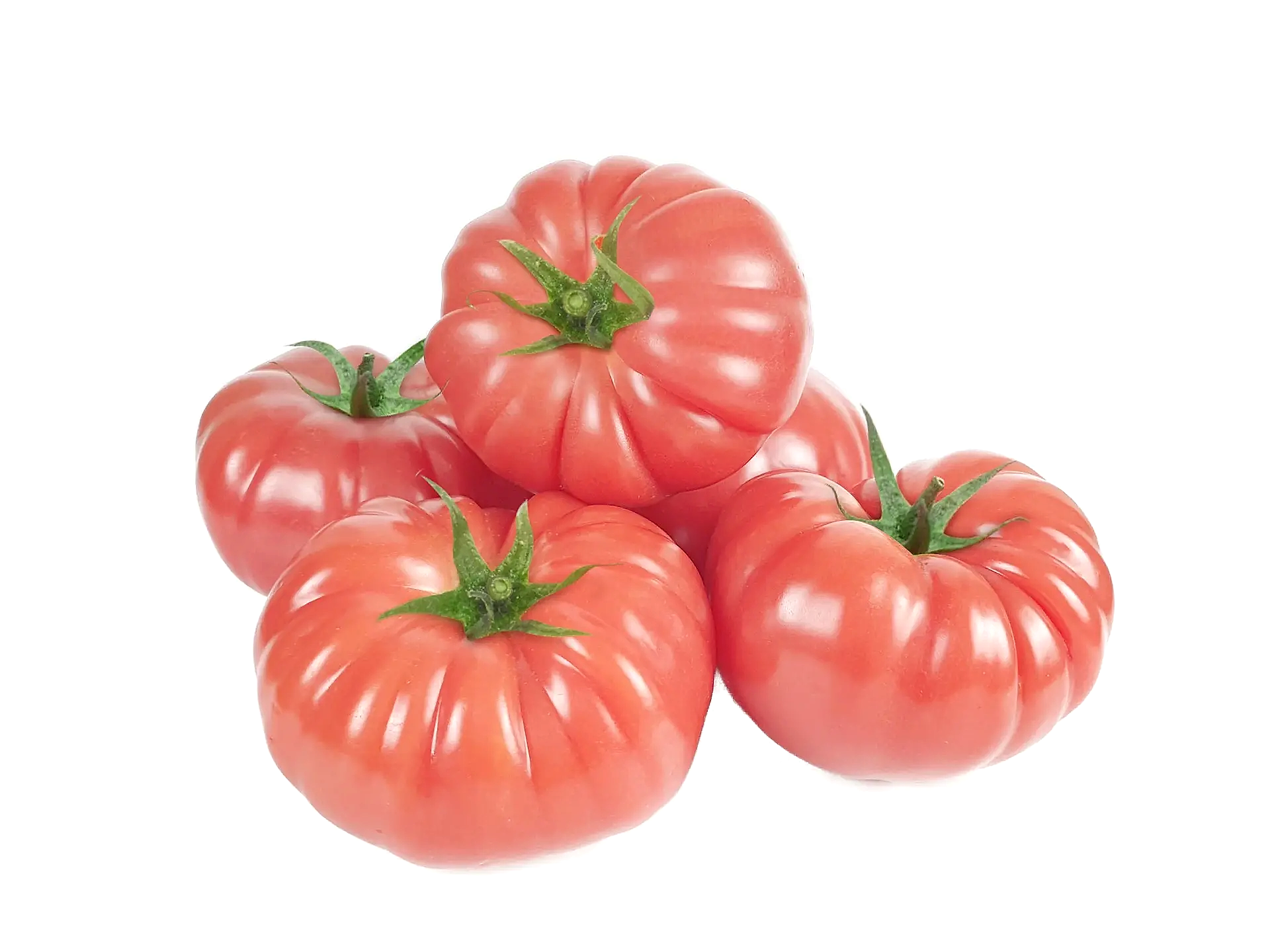 Vermılenza F1